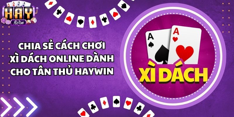 Chia Sẻ Cách Chơi Xì Dách Online Dành Cho Tân Thủ Haywin