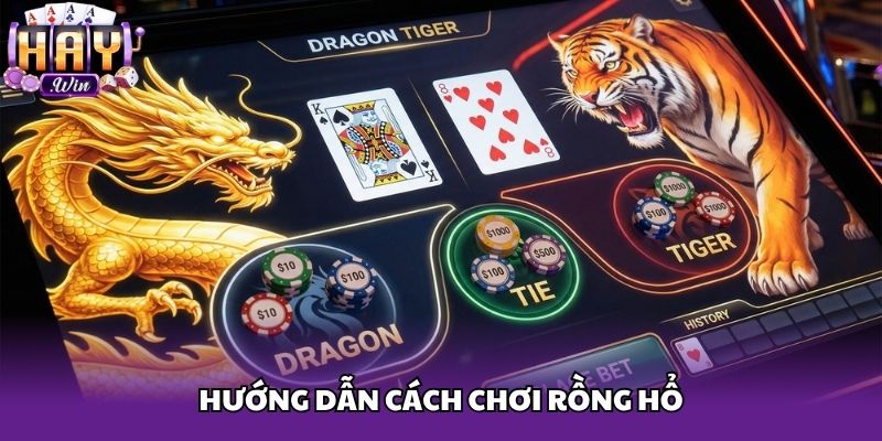 Hướng dẫn cách chơi rồng hổ