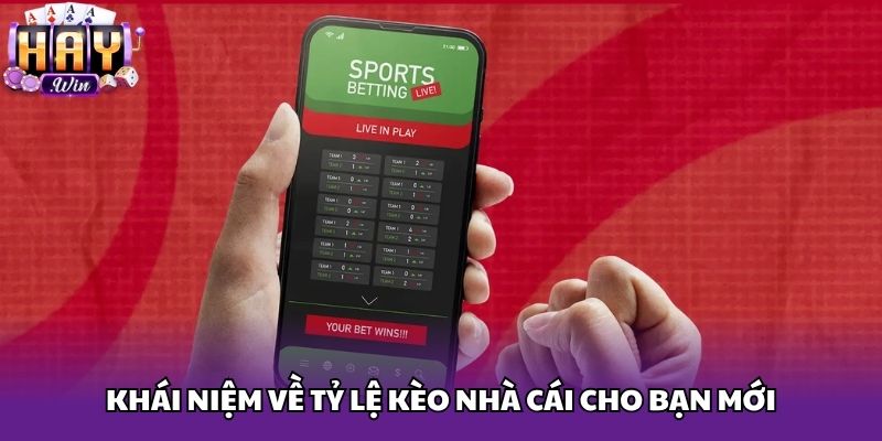 Khái niệm về tỷ lệ kèo nhà cái cho bạn mới