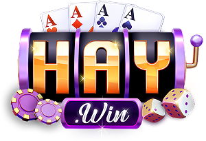 logo haywin