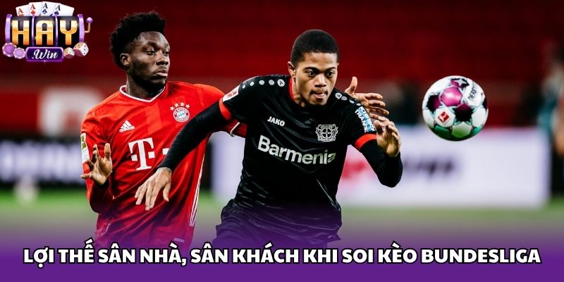 Lợi thế sân nhà, sân khách khi soi kèo Bundesliga