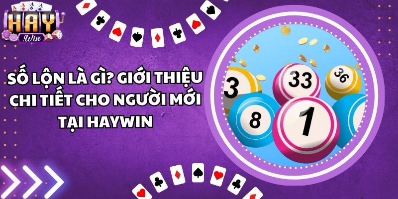 Số Lộn Là Gì? Giới Thiệu Chi Tiết Cho Người Mới Tại Haywin