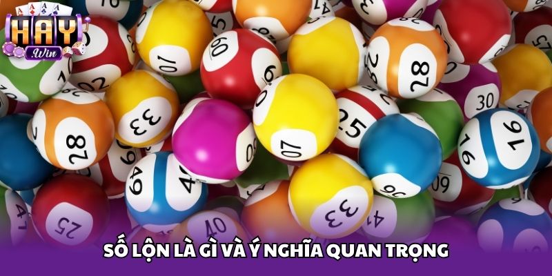 Số lộn là gì và ý nghĩa quan trọng