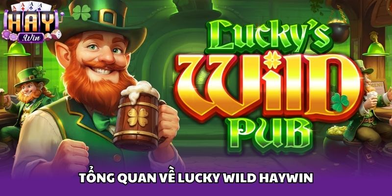 Tổng quan về Lucky wild haywin