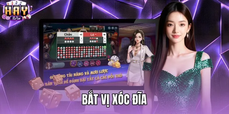 Bắt Vị Xóc Đĩa - Giải Mã Bản Chất Xác Suất Tại Haywin