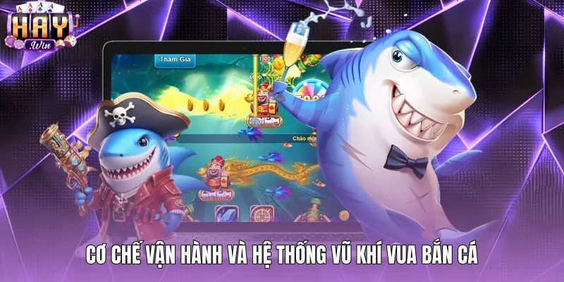 Thông số nòng pháo và mức tiêu hao đạn Vua bắn cá